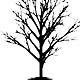 Blacktree's Avatar