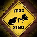 HwyXingFrog's Avatar